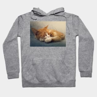 ginger cat resting on a sofa Hoodie